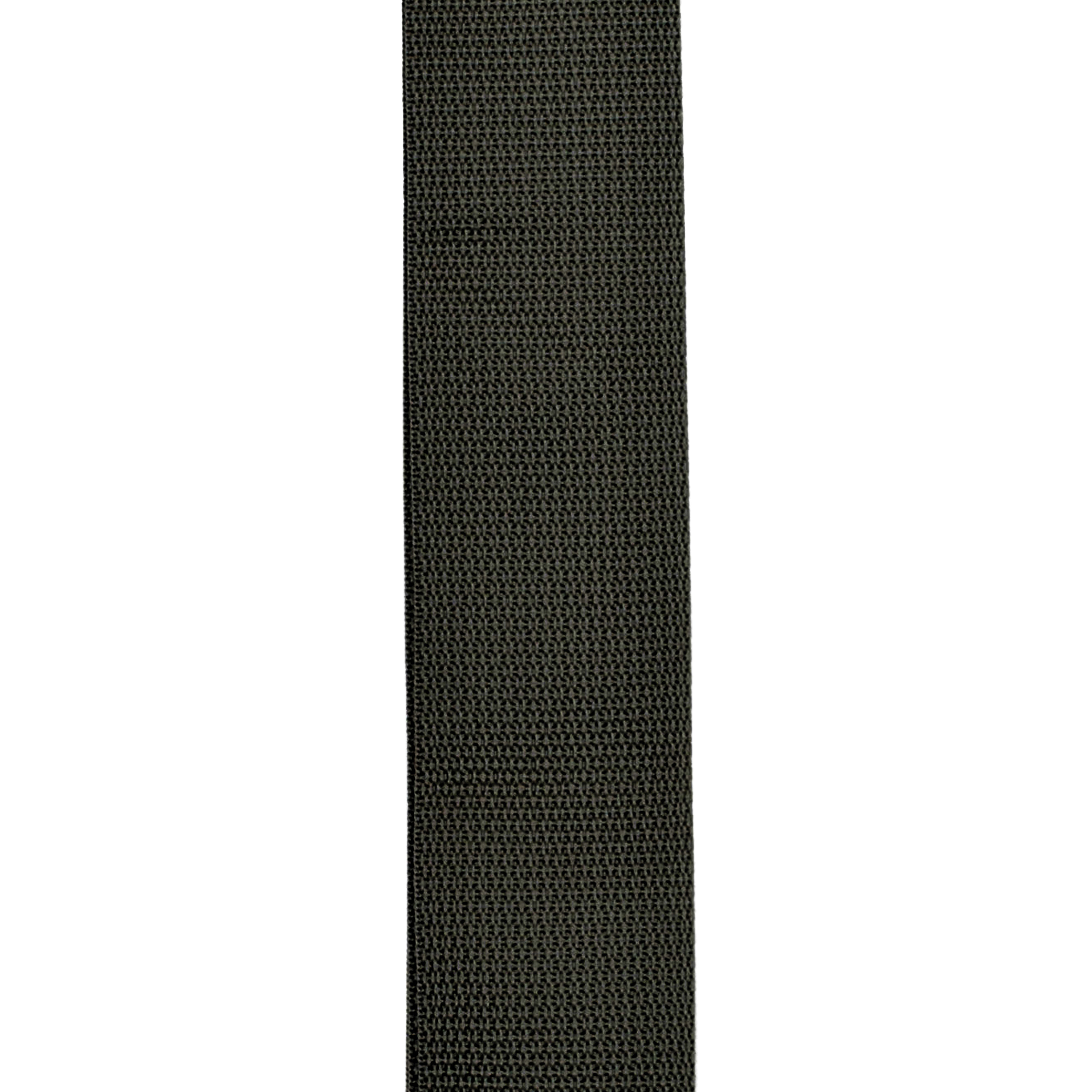 Planet Lock Polypro Guitar Strap
Black