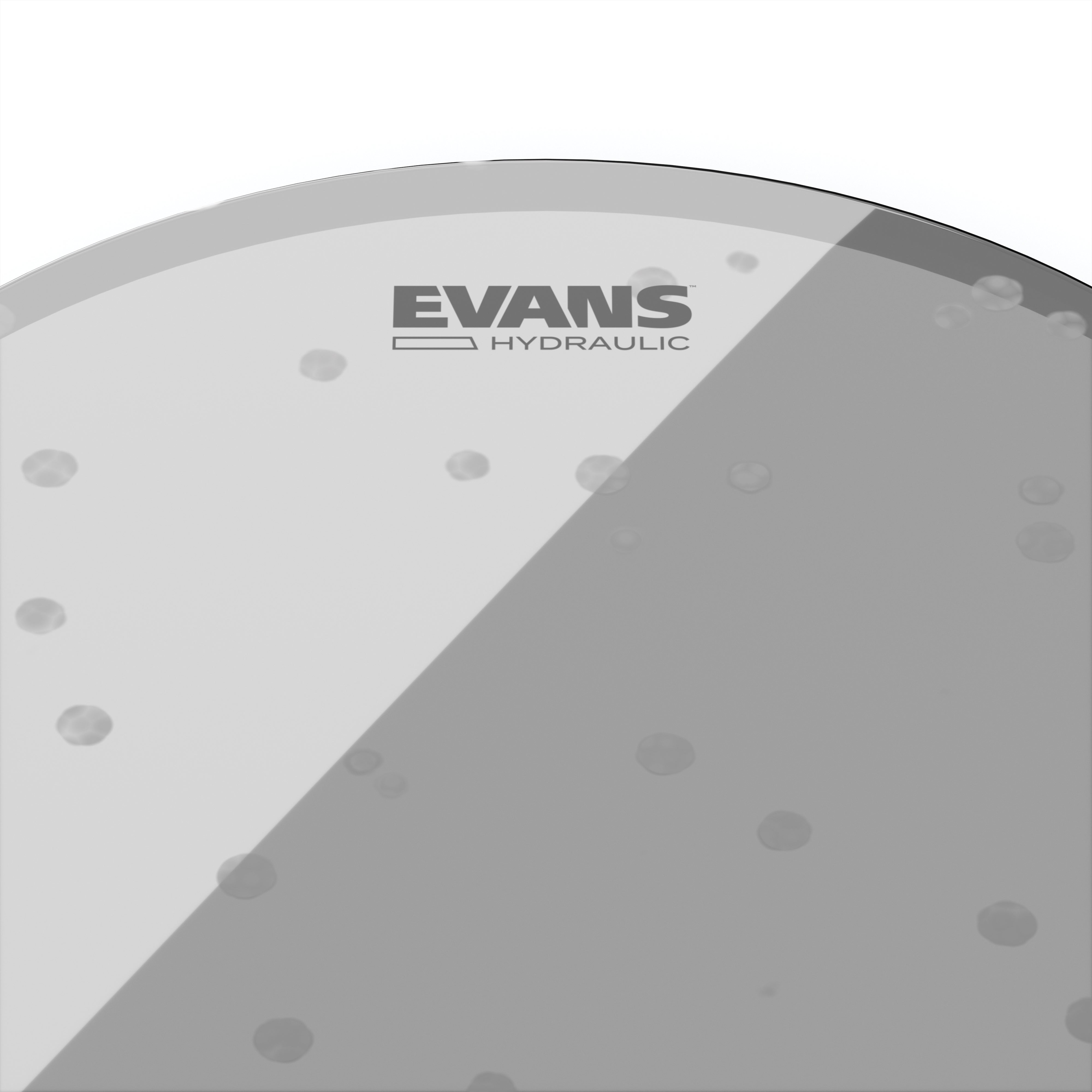 PARCHE EVANS 12" TT12HG